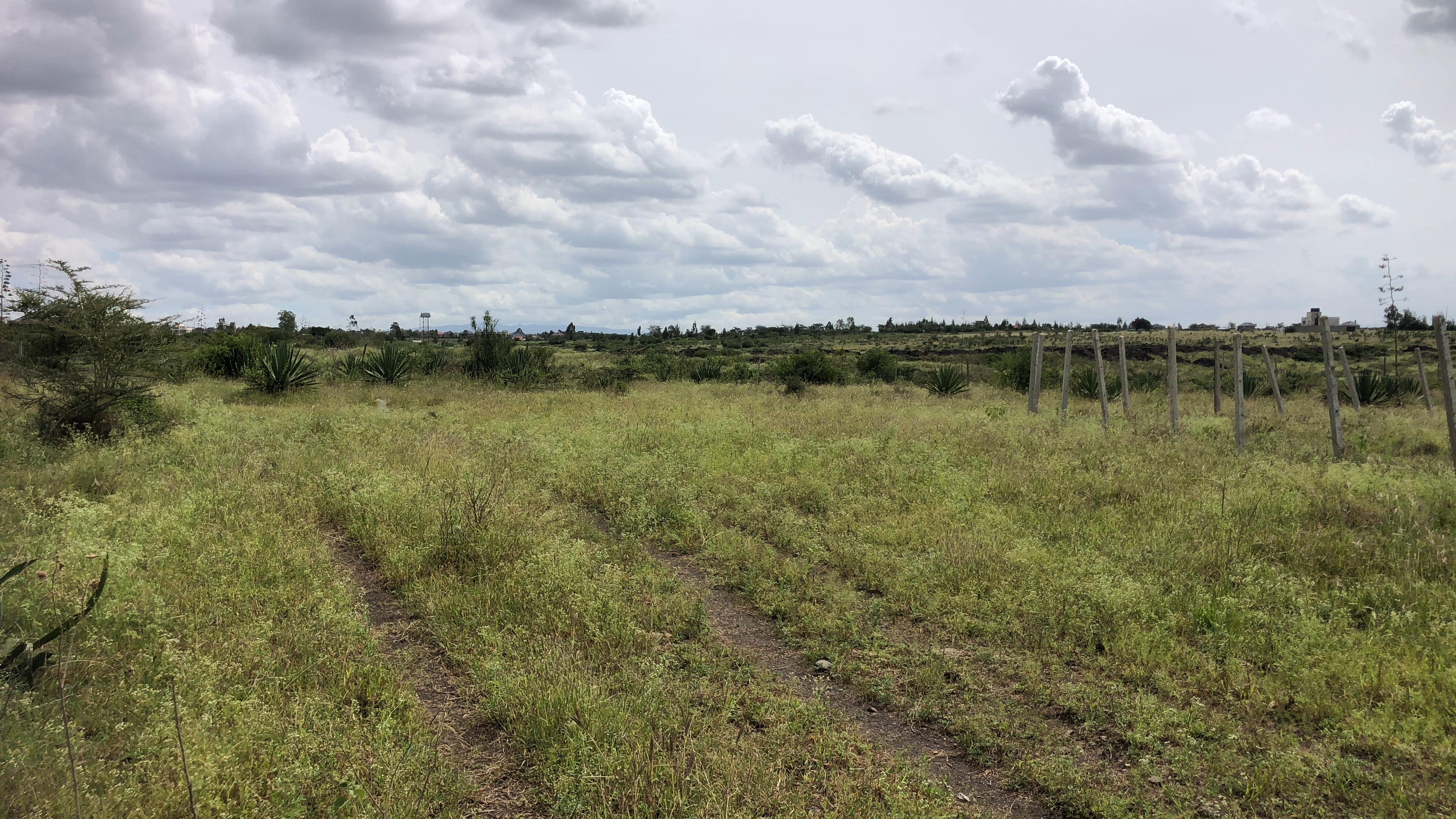 40 Acres Land - Landscape View